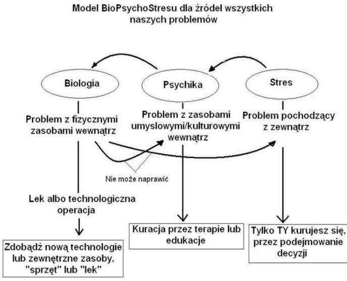 System Operacyjny Umysłu 2-1 - Model Bio PsychoStresu