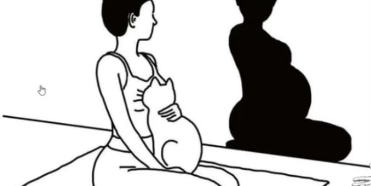 Kobieta i koty - urojona ciąża
