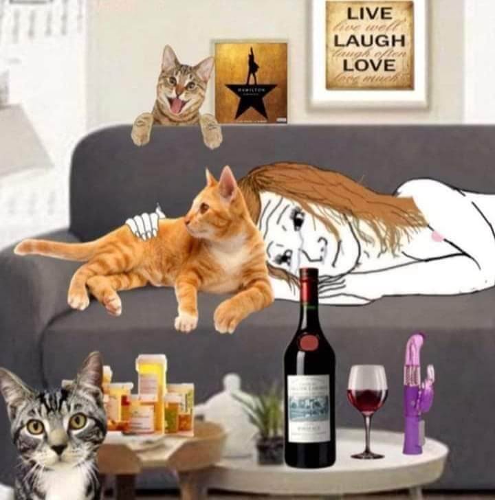Samotna kobieta po 40-tce - koty, wino i psychotropy