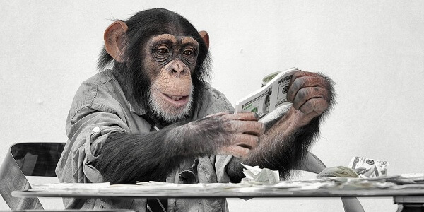 Wydaje się, że małpy można nauczyć wykorzystywać pieniądze