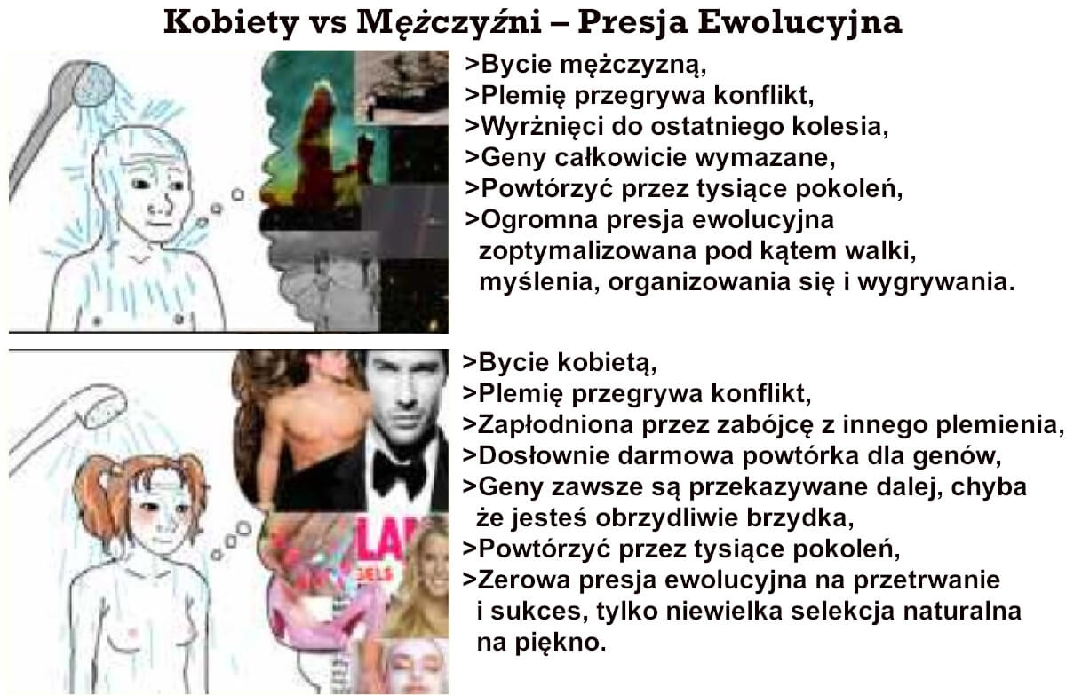 Kobiety vs Mężczyźni – Presja Ewolucyjna