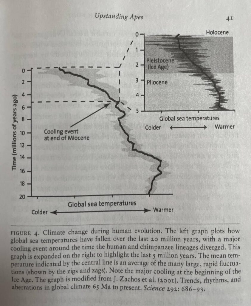 Zmiany klimatu podczas ewolucji człowieka