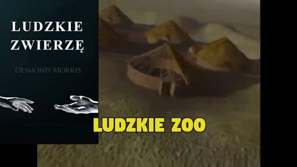 Ludzkie Zwierzę - Ludzkie zoo