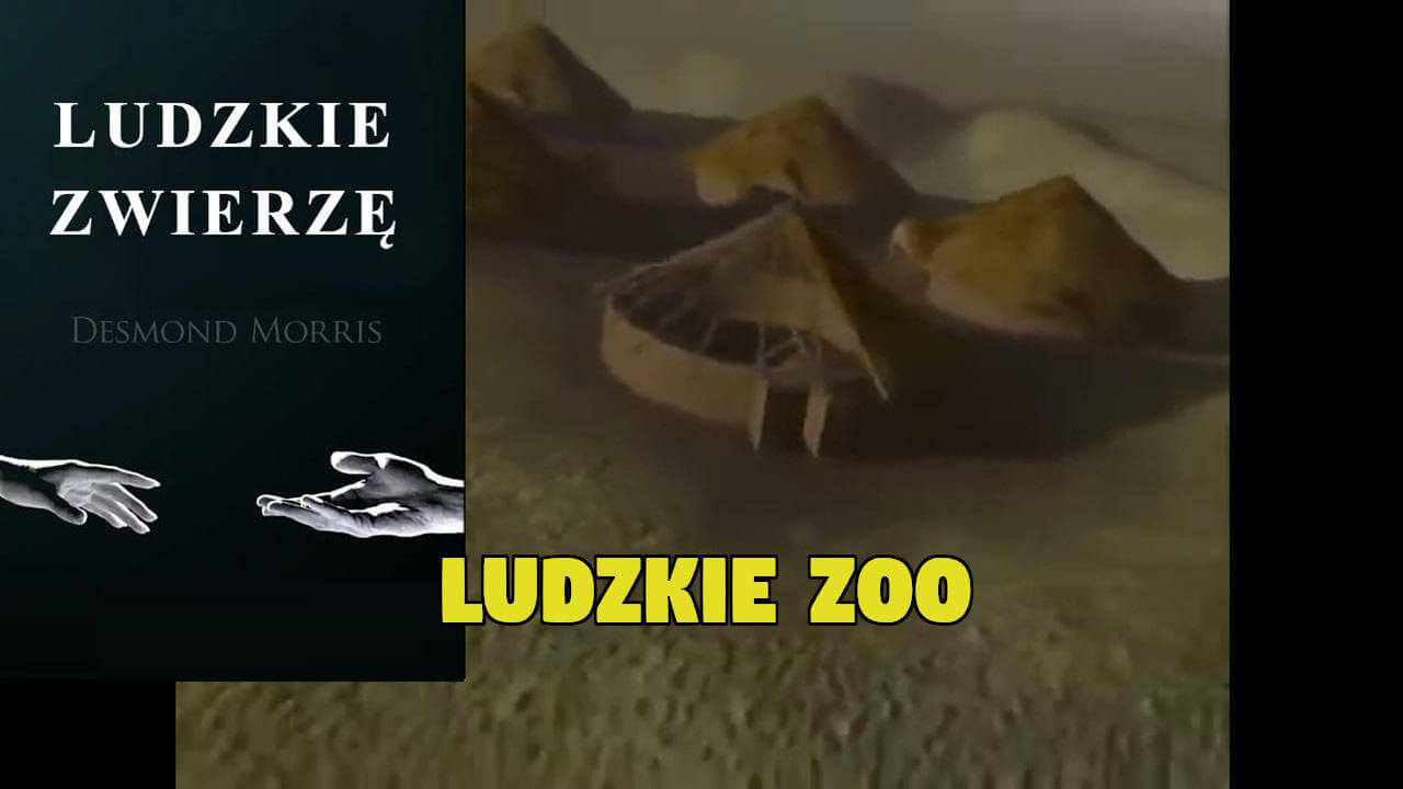 Ludzkie Zwierzę – Ludzkie zoo | Desmond Morris | cz. 3