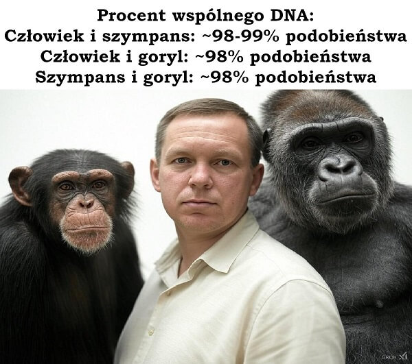 Procent wspólnego DNA - człowiek, szympans i goryl