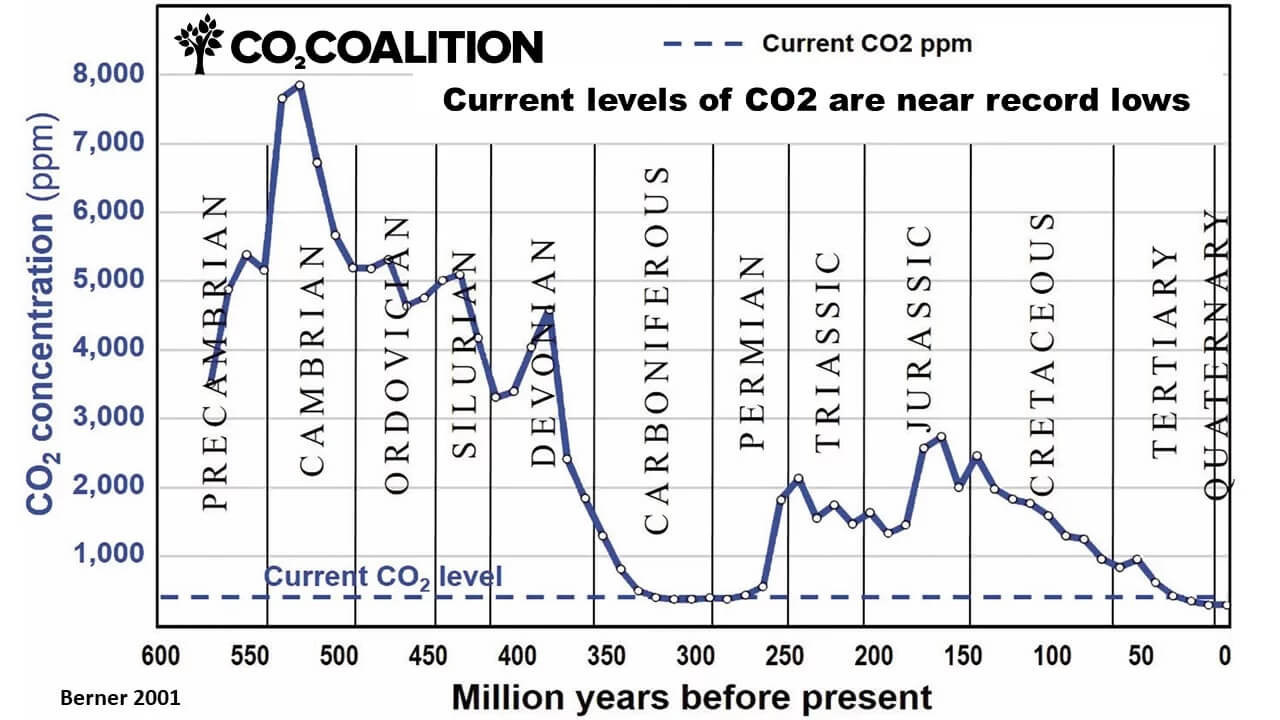 Obecny poziom CO2 zbliża się do rekordowo niskiego. Jesteśmy ubodzy w CO2.