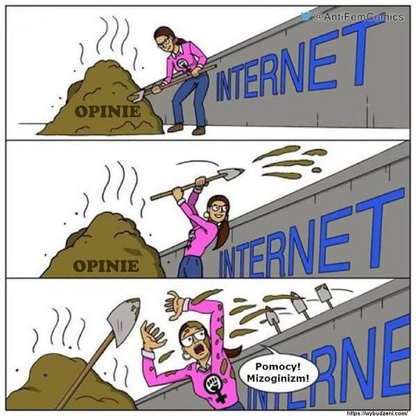 Opinie - Internet - Mizoginizm
