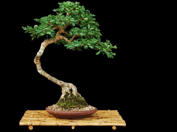 Kobiety starzeją się gorzej niż mężczyźni – Roosh V