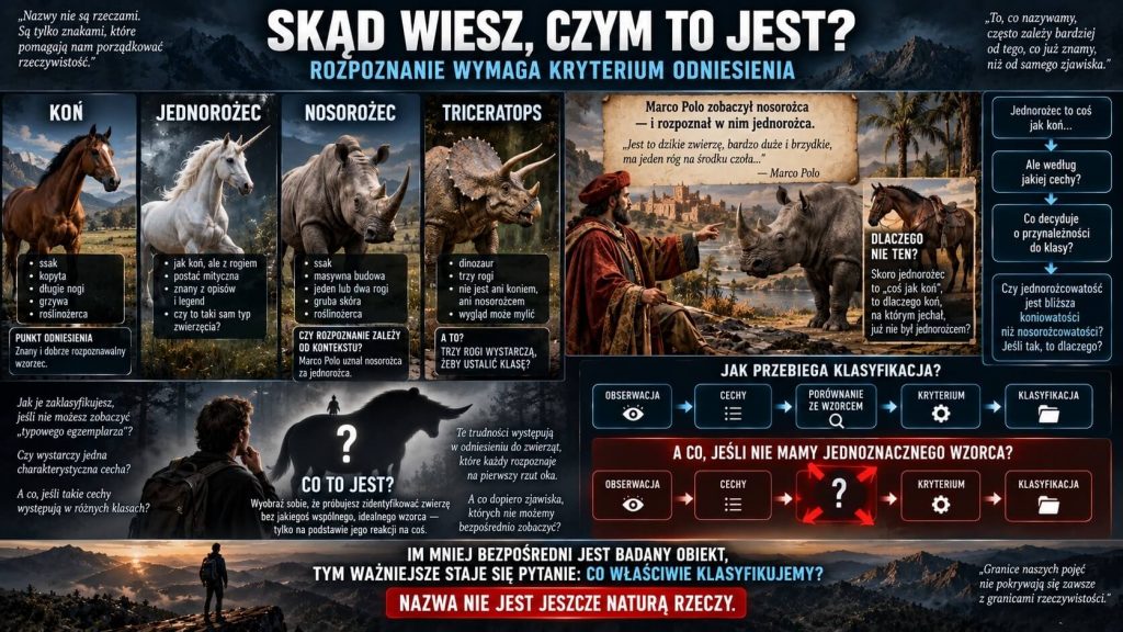 Jednorożec, nosorożec i problem wzorca